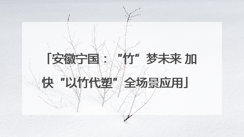 安徽宁国：“竹”梦未来 加快“以竹代塑”全场景应用