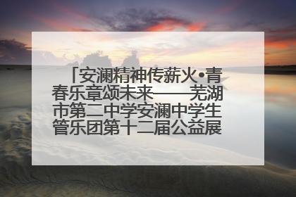 安澜精神传薪火•青春乐章颂未来——芜湖市第二中学安澜中学生管乐团第十二届公益展演圆满举行
