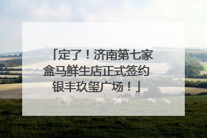 定了！济南第七家盒马鲜生店正式签约银丰玖玺广场！