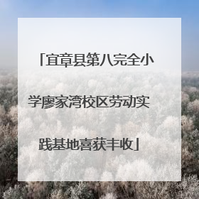 宜章县第八完全小学廖家湾校区劳动实践基地喜获丰收