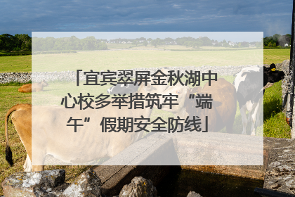 宜宾翠屏金秋湖中心校多举措筑牢“端午”假期安全防线