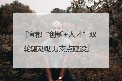 宜都“创新+人才”双轮驱动助力支点建设