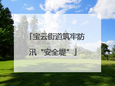 宝云街道筑牢防汛“安全堤”