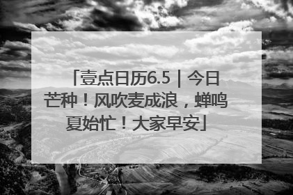 壹点日历6.5｜今日芒种！风吹麦成浪，蝉鸣夏始忙！大家早安