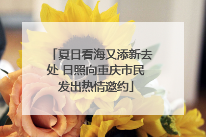 夏日看海又添新去处 日照向重庆市民发出热情邀约