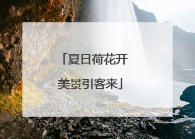 夏日荷花开 美景引客来