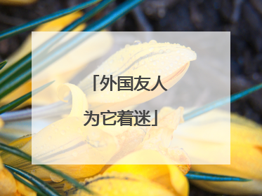 外国友人为它着迷