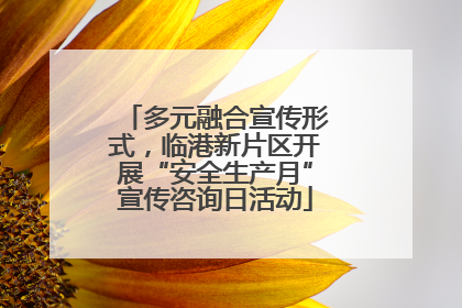 多元融合宣传形式，临港新片区开展“安全生产月”宣传咨询日活动