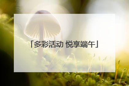 多彩活动 悦享端午