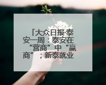 大众日报·泰安一周：泰安在“营商”中“赢商”；新泰就业、宁阳夏收工作上要闻