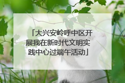 大兴安岭呼中区开展我在新时代文明实践中心过端午活动
