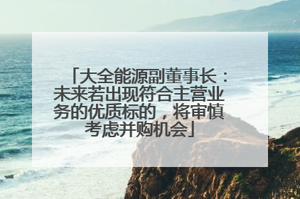 大全能源副董事长：未来若出现符合主营业务的优质标的，将审慎考虑并购机会