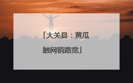 大关县：黄瓜触网销路宽