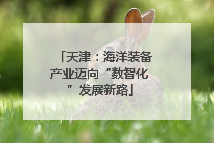 天津：海洋装备产业迈向“数智化”发展新路