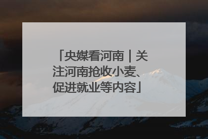 央媒看河南｜关注河南抢收小麦、促进就业等内容