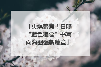 央媒聚焦！日照“蓝色粮仓”书写向海图强新篇章