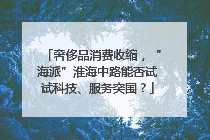 奢侈品消费收缩，“海派”淮海中路能否试试科技、服务突围？