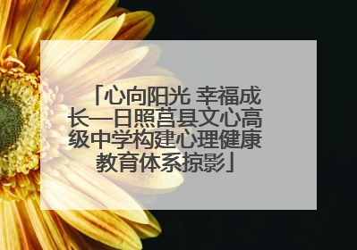 心向阳光 幸福成长—日照莒县文心高级中学构建心理健康教育体系掠影