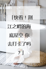 快看！荆江之畔的海底星空 你去打卡了吗？