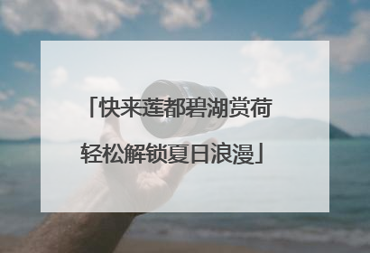 快来莲都碧湖赏荷 轻松解锁夏日浪漫