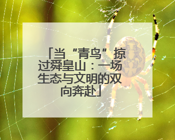 当“青鸟”掠过舜皇山：一场生态与文明的双向奔赴