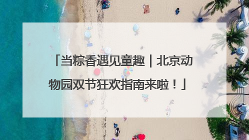 当粽香遇见童趣｜北京动物园双节狂欢指南来啦！
