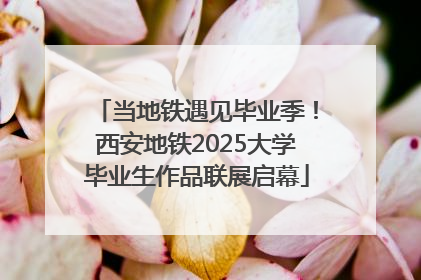 当地铁遇见毕业季！西安地铁2025大学毕业生作品联展启幕
