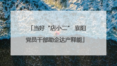 当好“店小二” 襄阳党员干部助企达产释能