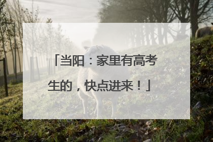 当阳：家里有高考生的，快点进来！
