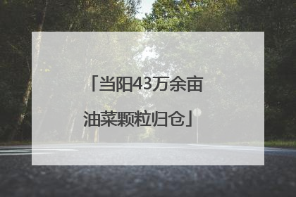 当阳43万余亩油菜颗粒归仓