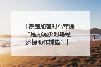 德国加强对乌军援 “是为减少对乌经济援助作铺垫”
