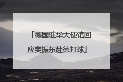 德国驻华大使馆回应樊振东赴德打球