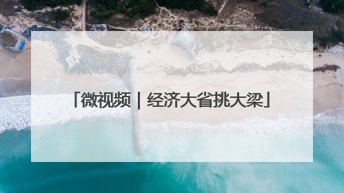 微视频｜经济大省挑大梁