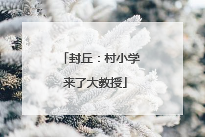 封丘：村小学来了大教授
