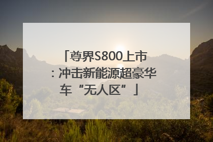 尊界S800上市：冲击新能源超豪华车“无人区”