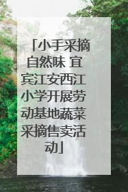 小手采摘自然味 宜宾江安西江小学开展劳动基地蔬菜采摘售卖活动