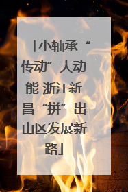 小轴承“传动”大动能 浙江新昌“拼”出山区发展新路