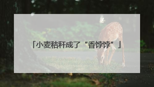 小麦秸秆成了“香饽饽”