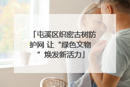 屯溪区织密古树防护网 让“绿色文物”焕发新活力