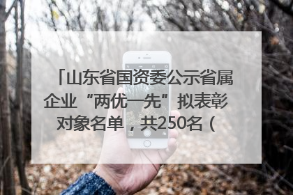 山东省国资委公示省属企业“两优一先”拟表彰对象名单，共250名（个）党员和党组织