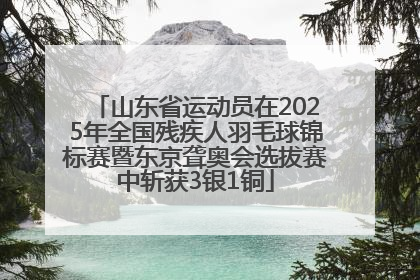 山东省运动员在2025年全国残疾人羽毛球锦标赛暨东京聋奥会选拔赛中斩获3银1铜