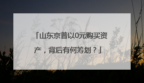 山东京普以0元购买资产，背后有何筹划？