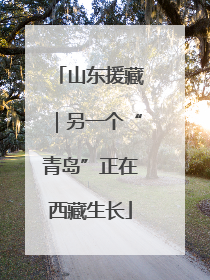山东援藏｜另一个“青岛”正在西藏生长