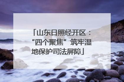 山东日照经开区：“四个聚焦”筑牢湿地保护司法屏障