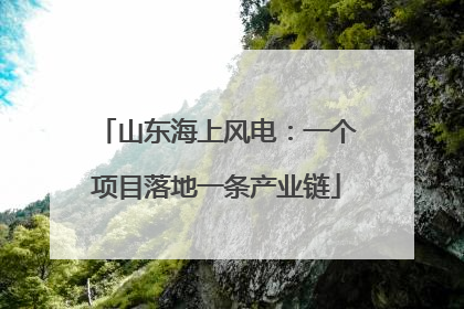 山东海上风电：一个项目落地一条产业链