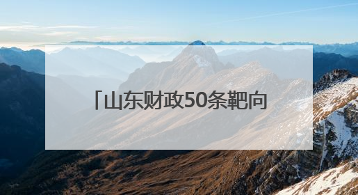 山东财政50条靶向支持民营经济发展