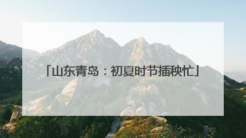 山东青岛：初夏时节插秧忙