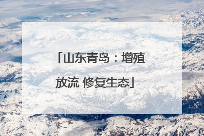 山东青岛：增殖放流 修复生态