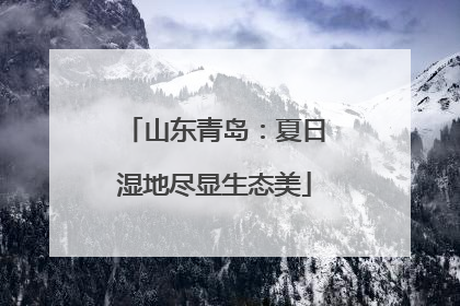 山东青岛：夏日湿地尽显生态美