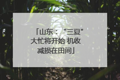 山东：“三夏”大忙将开始 机收减损在田间